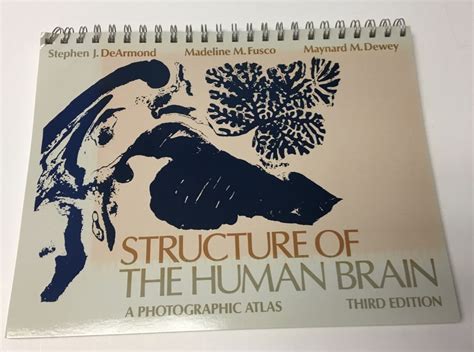 structure of the human brain a photographic atlas spiral bound PDF