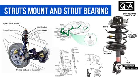 struts and bearings