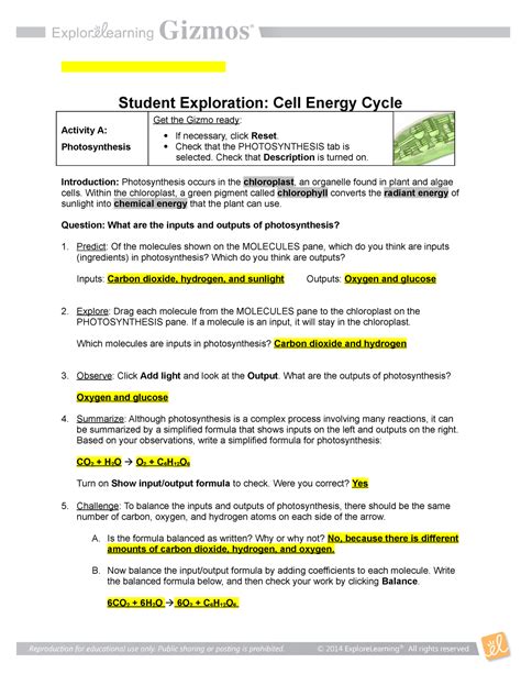 student exploration cell energy cycle gizmo answer key PDF Reader