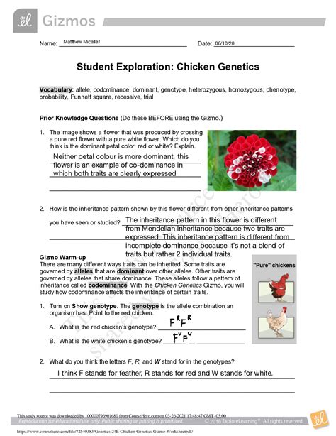student exploration chicken genetics gizmo answer key Epub