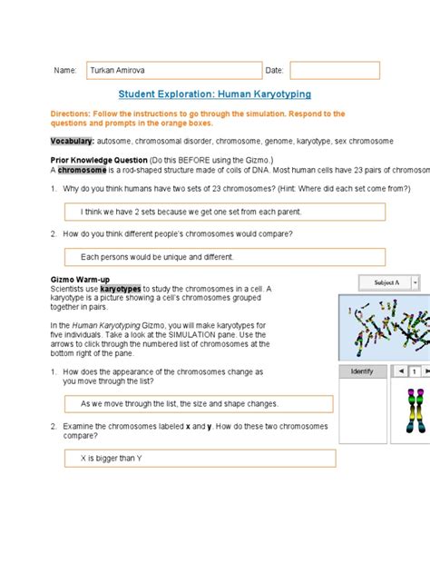 student exploration human karyotyping answer sheet Reader