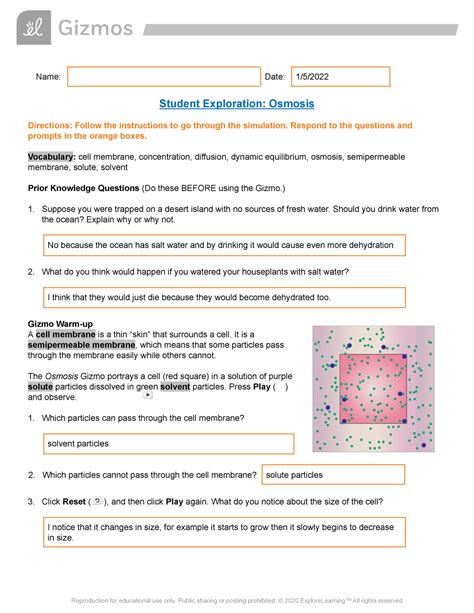 student exploration osmosis answer key Reader