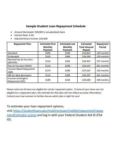A visual representation of a student loan repayment schedule, highlighting key milestones like grace period and payment start date
