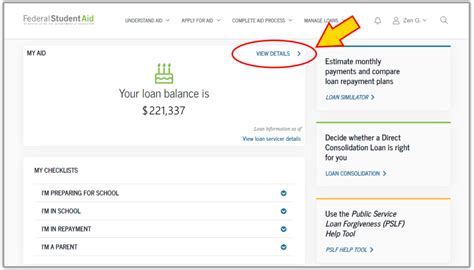 student loans in summer online portal access showing login screen and account dashboard