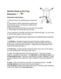 student study guide frog dissection laboratory answers Kindle Editon
