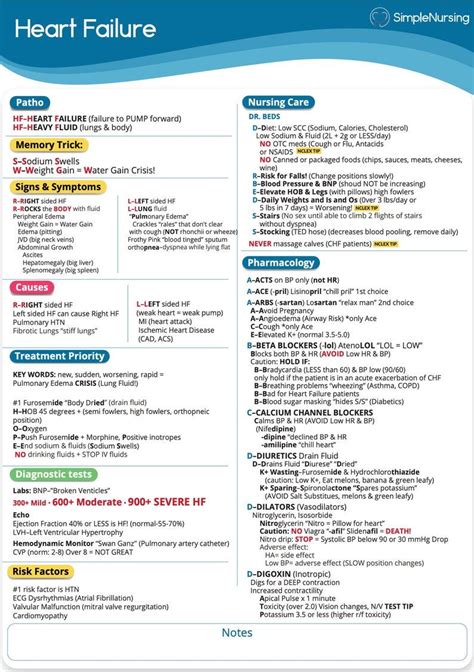 study guide for focus on nursing pharmacology Doc