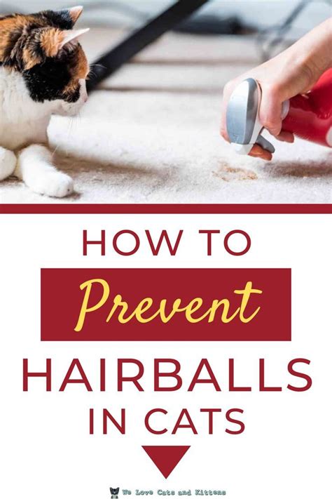 stuff to help with hairball