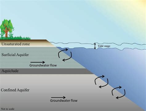 submarine groundwater discharge material geoplanet Doc