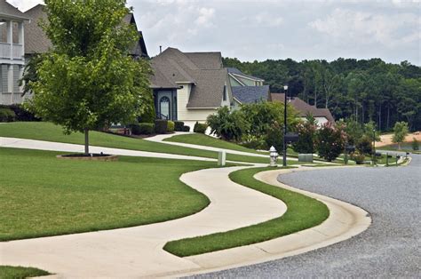 suburb neighborhood walk Reader