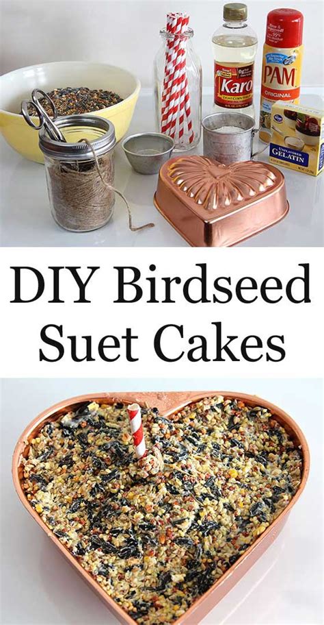 suet cakes for birds