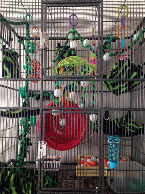 sugar glider cage