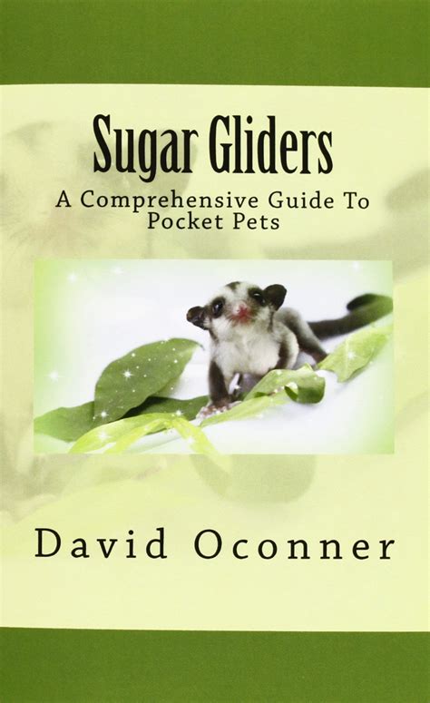 sugar gliders a comprehensive guide to pocket pets PDF