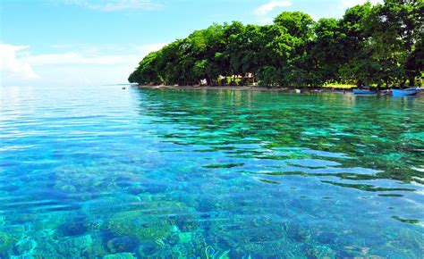 sulawesi seas indonesias magnificent underwater realm Reader