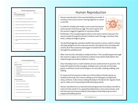 summary comprehension and reproduction Kindle Editon