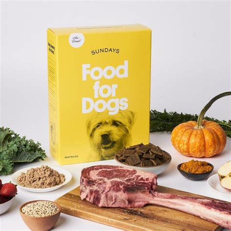 sundays dog food review