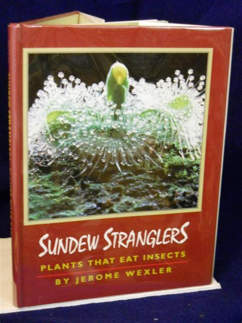 sundew stranglers plants that eat insects Reader