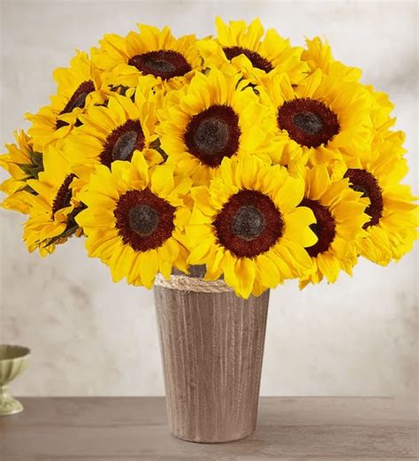 sunflowers gifts