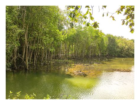 sungei buloh wetland reserve news