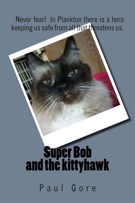 super bob and the kittyhawk PDF