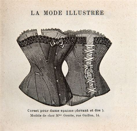 support and seduction a history of corsets and bras Epub