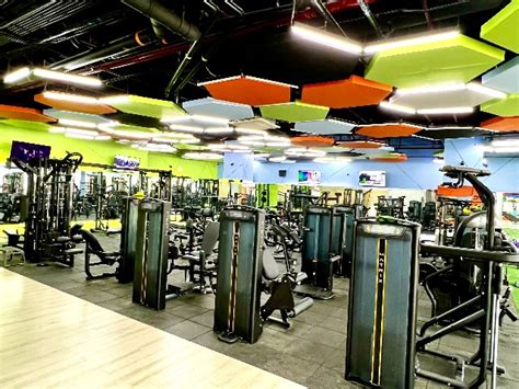 surge gym