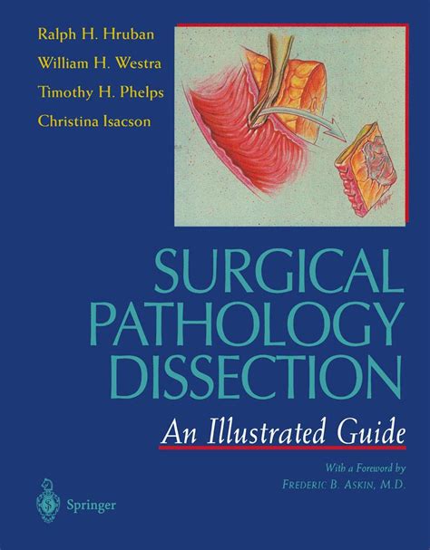 surgical pathology dissection an illustrated guide Epub