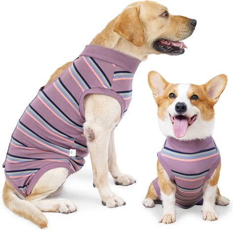 surgical shirt for dogs