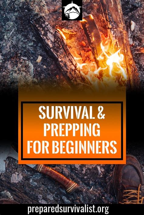 survival preparedness a beginners guide to survival prepping PDF