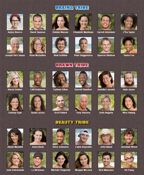 survivor brain vs brawn vs beauty