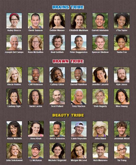 survivor brawn vs brains vs beauty