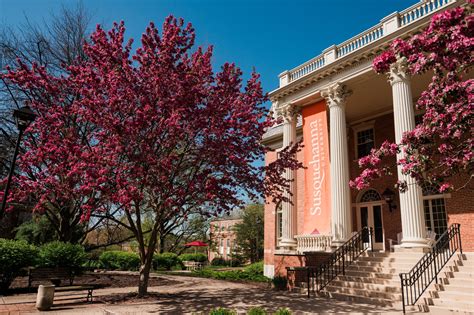susquehanna university degrees