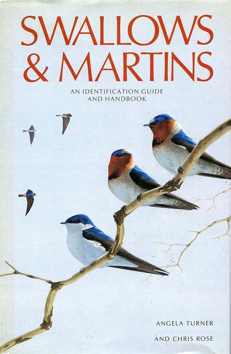 swallows and martins an identification guide and handbook Doc