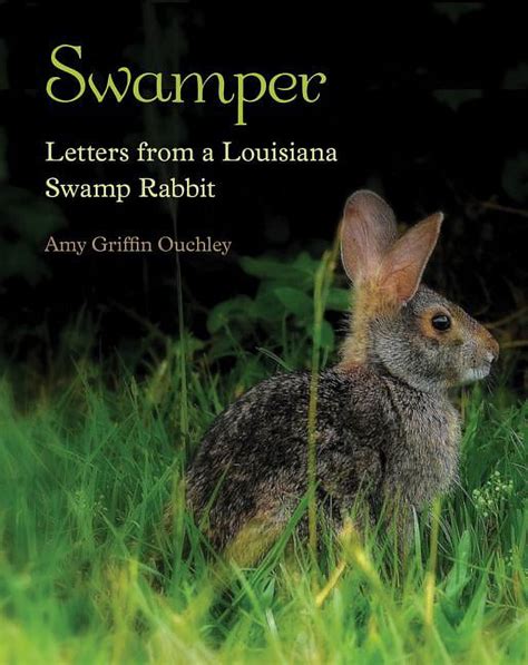 swamper letters from a louisiana swamp rabbit Reader