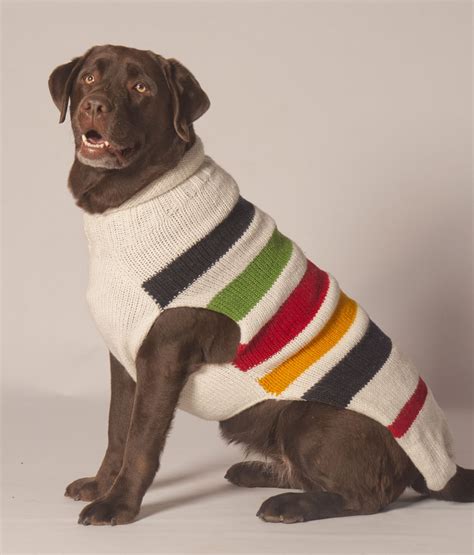 sweaters for large dogs