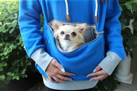 sweatshirt with dog pocket