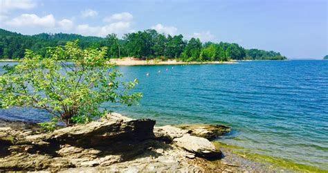 swimming area at pinonner lake arkansas