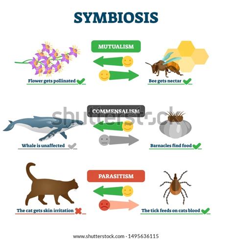 symbiosis whos living with me? Kindle Editon