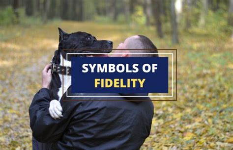 symbol fidelity