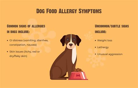 symptoms of dog food allergy