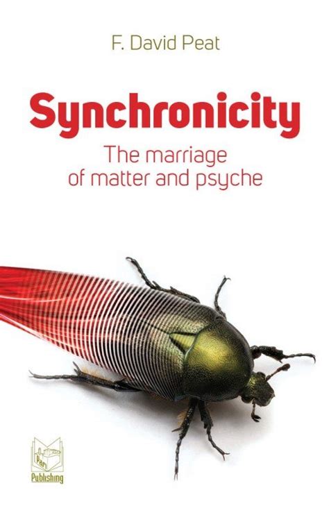 synchronicity the marriage of matter and psyche Reader