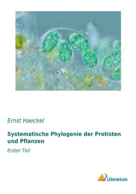 systematische phylogenie protisten pflanzen erster Epub