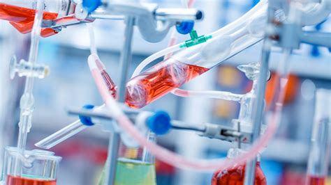 systems physiology for chemical engineering rutgers
