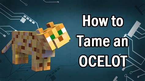 tame a ocelot minecraft