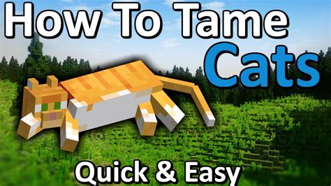 tame cat minecraft