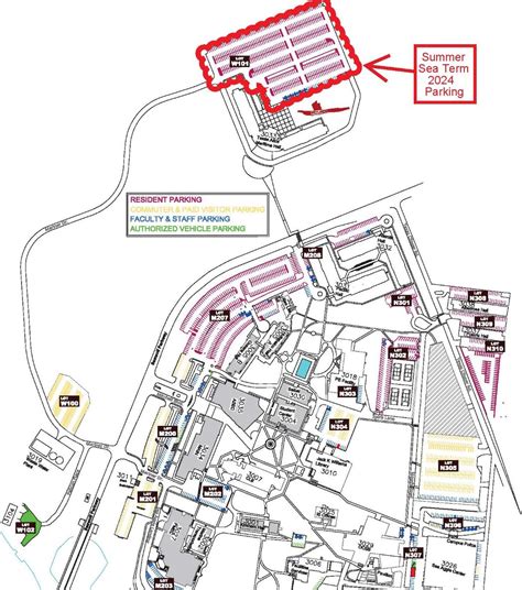 tamu parking summer