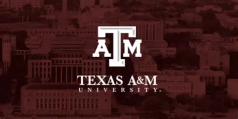 tamu q drop