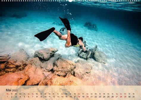 tauchen abtauchen wandkalender faszinierende unterwasserwelt Reader