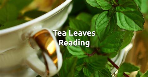 tea leaves reading online PDF