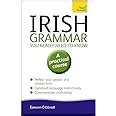 teach yourself irish grammar you a practical course Kindle Editon