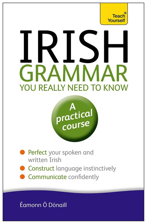 teach yourself irish grammar you a practical course Kindle Editon